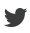 twitter-icon